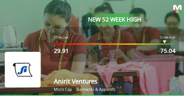 Broad-Based Technical Strength Lifts Anirit Ventures Ltd to 52-Week High of Rs 68