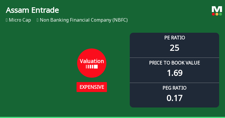 Assam Entrade Ltd Valuation Shifts Signal Price Attractiveness Challenges