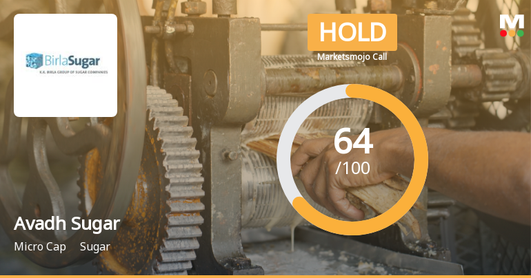 Avadh Sugar & Energy Ltd Upgraded to Hold on Improved Technicals and Financial Recovery