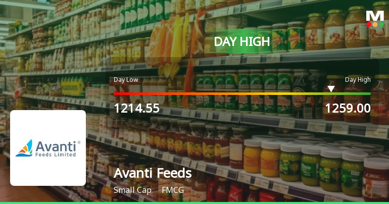 Avanti Feeds Ltd. Rallies 7.31% Surpassing Sector Gains — Momentum Strengthens Above Key Moving Averages