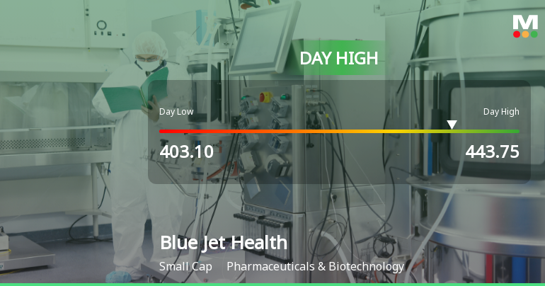 Blue Jet Healthcare Ltd Surges 7.84% to Day's High of Rs 418.95 — Outperforms Sector by 2.77 Percentage Points