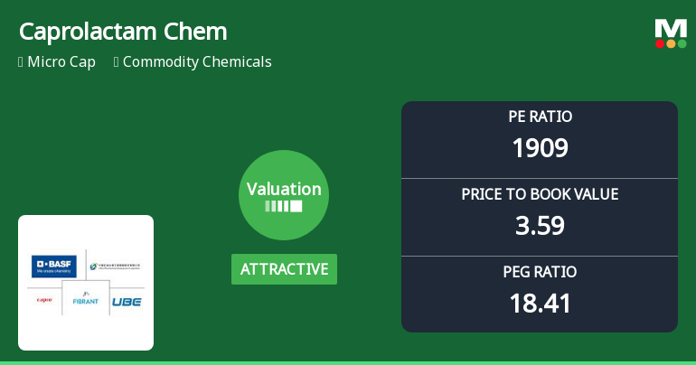 Caprolactam Chemicals Ltd Valuation Shifts Signal Renewed Price Attractiveness