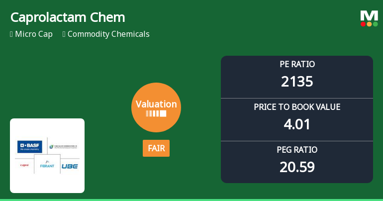 Caprolactam Chemicals Ltd: Valuation Shifts Signal Changing Price Attractiveness