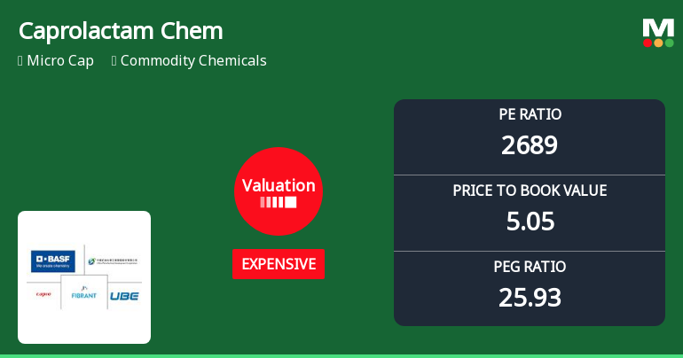 Caprolactam Chemicals Ltd Valuation Shifts Signal Price Attractiveness Concerns