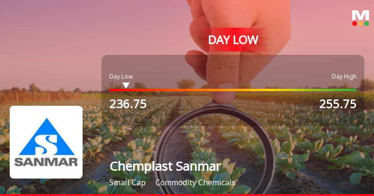 Chemplast Sanmar Ltd Hits Intraday Low Amidst Price Pressure on 6 April 2026
