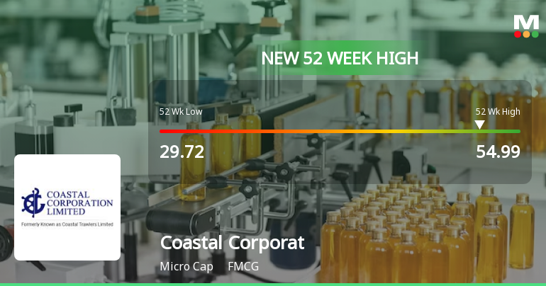Broad-Based Technical Strength Lifts Coastal Corporation Ltd to 52-Week High of Rs 55.47