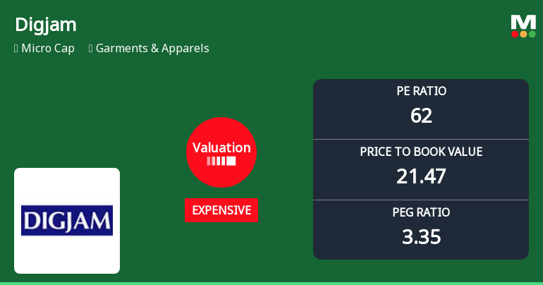 Digjam Ltd Valuation Shifts Signal Price Attractiveness Challenges Amid Sector Dynamics