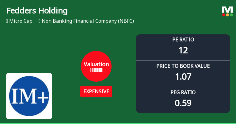 Fedders Holding Ltd Valuation Shifts Signal Price Attractiveness Decline