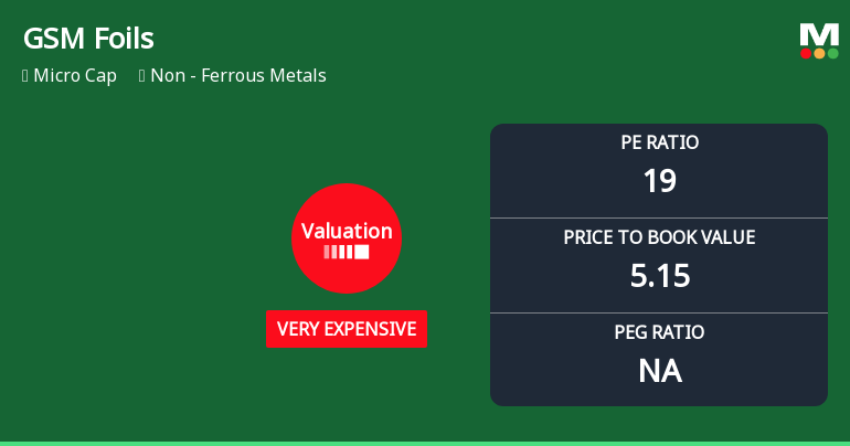 GSM Foils Ltd Valuation Shifts Signal Caution Amid Strong Price Gains