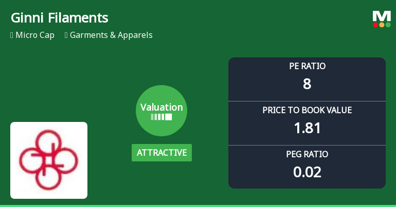 Ginni Filaments Ltd Valuation Shifts Signal Renewed Price Attractiveness