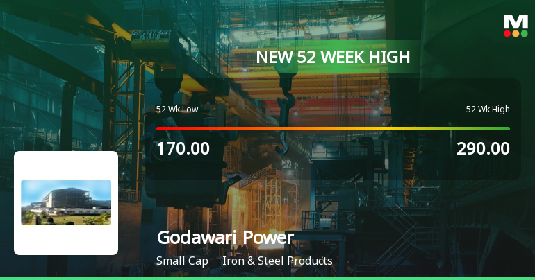 Broad-Based Technical Strength Lifts Godawari Power & Ispat Ltd to 52-Week High of Rs 312