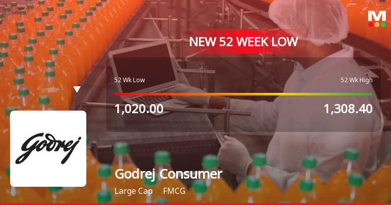 Markets Rally, But Godrej Consumer Products Ltd Sinks to 52-Week Low in Stock-Specific Sell-Off