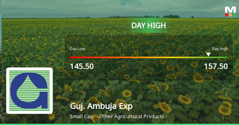 Gujarat Ambuja Exports Ltd Surges 7.02% to Day's High of Rs 157.5 — Outperforms Sector by 5.38 Percentage Points
