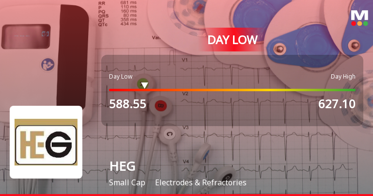 HEG Ltd Hits Intraday Low Amid Price Pressure on 30 Apr 2026