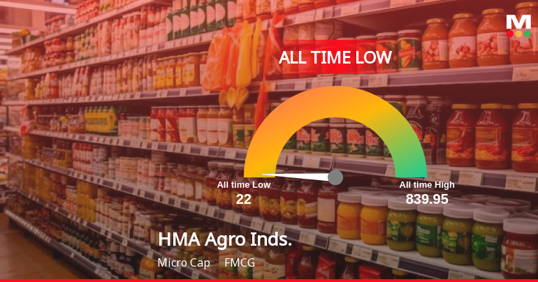 A 20.8% Year-to-Date Decline Pushes HMA Agro Industries Ltd to Its Weakest Level Ever