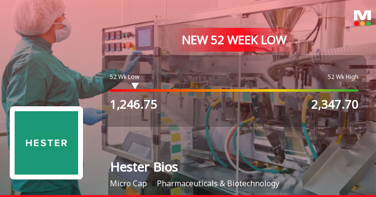Markets Rally, But Hester Biosciences Ltd Sinks to 52-Week Low in Stock-Specific Sell-Off