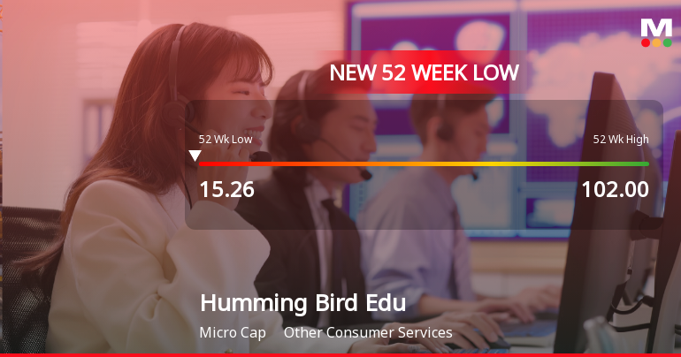 Humming Bird Education Ltd Falls to 52-Week Low of Rs 14.3 as Sell-Off Deepens