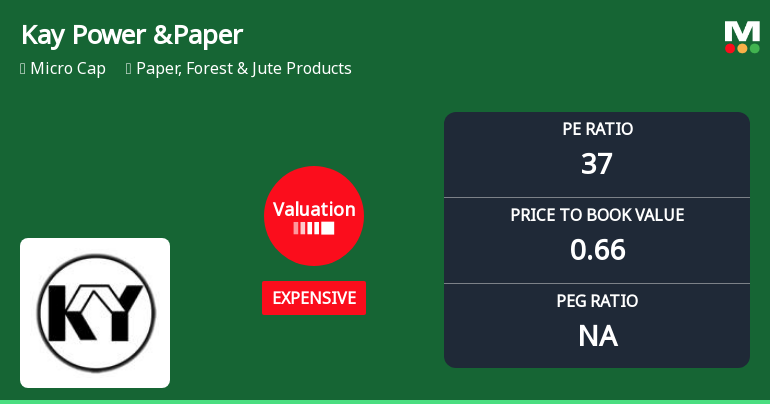 Kay Power & Paper Ltd Valuation Shifts Signal Price Attractiveness Concerns