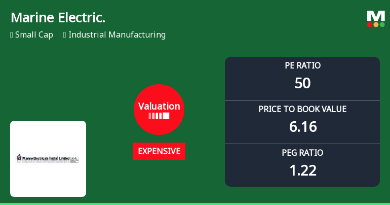 Marine Electricals (India) Ltd: Valuation Shift Signals Price Attractiveness Decline