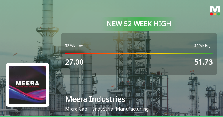 Broad-Based Technical Strength Lifts Meera Industries Ltd to 52-Week High of Rs 67