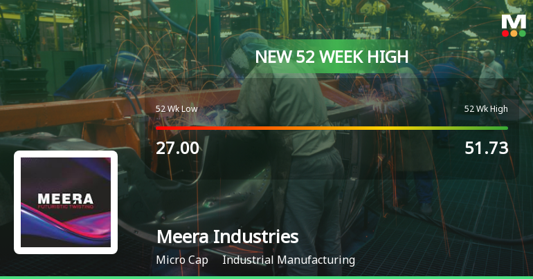 Broad-Based Technical Strength Lifts Meera Industries Ltd to 52-Week High of Rs 68