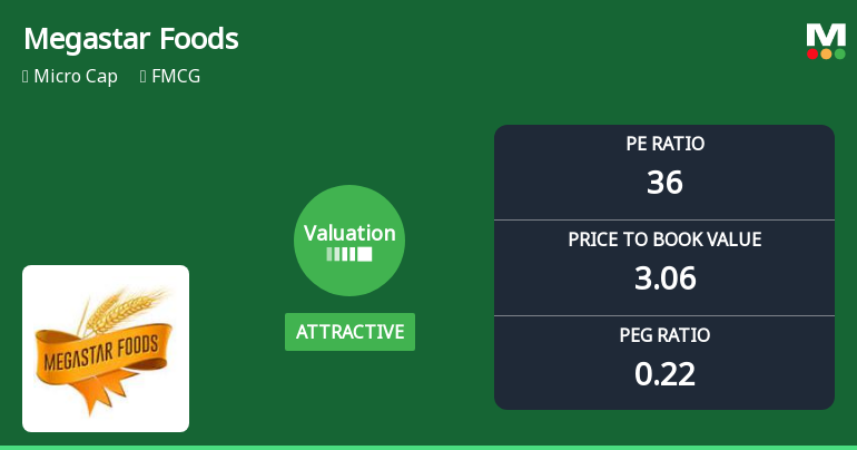 Megastar Foods Ltd Valuation Shifts Signal Renewed Price Attractiveness