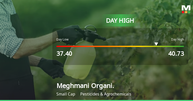 Meghmani Organics Ltd Surges 9.14% to Day's High of Rs 40.23 — Outperforms Sector by 7.55 Percentage Points