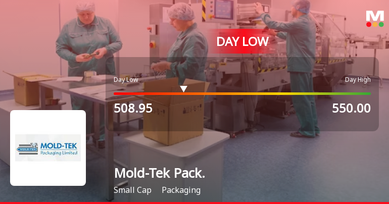 Mold-Tek Packaging Ltd Hits Intraday Low Amid Price Pressure on 13 Apr 2026