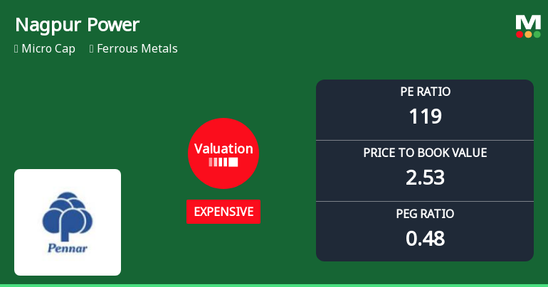 Nagpur Power & Industries Ltd: Valuation Shifts Signal Price Attractiveness Amid Ferrous Metals Sector Dynamics