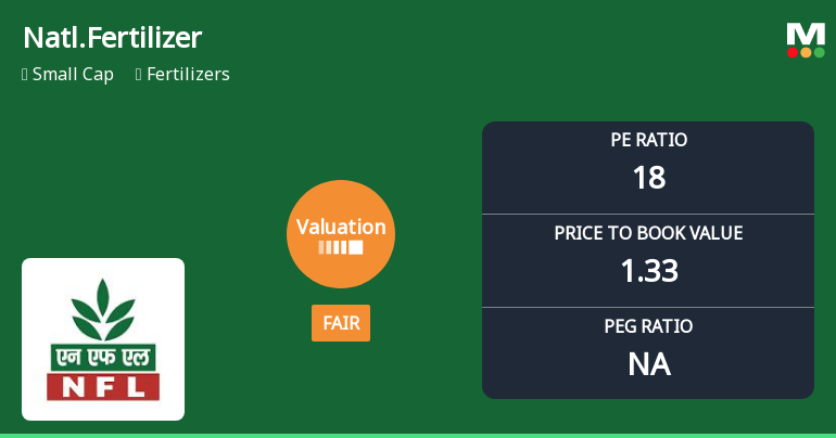 National Fertilizer Ltd Valuation Shifts to Fair Amidst Mixed Market Returns