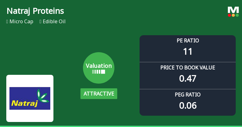 Natraj Proteins Ltd Valuation Shifts: Price Attractiveness Improves Amid Mixed Returns