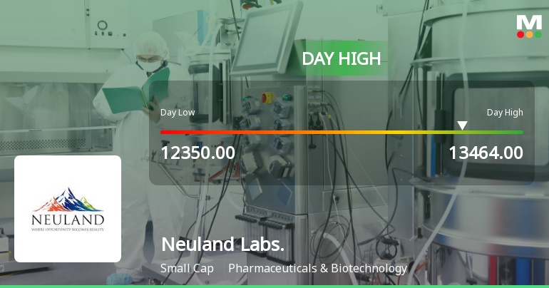 Neuland Laboratories Ltd Surges 7.15% to Day's High of Rs 13,464 — Outperforms Sector by 8.32 Percentage Points
