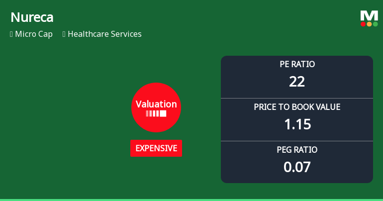Nureca Ltd Valuation Shifts Signal Price Attractiveness Concerns Amid Sector Challenges