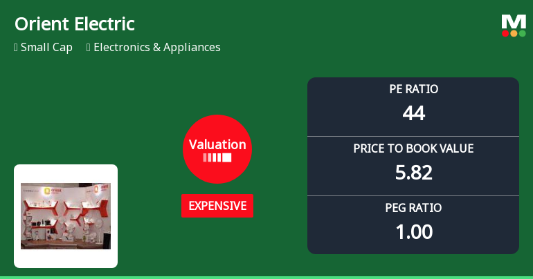 Orient Electric Ltd Valuation Shifts Signal Price Attractiveness Challenges