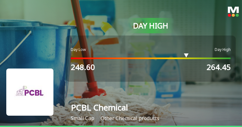 PCBL Chemical Ltd Surges 8.9% to Day's High of Rs 258.3 — Outperforms Sector Marginally