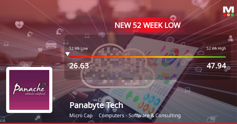 Panabyte Technologies Ltd Falls to 52-Week Low of Rs 25.16 as Sell-Off Deepens