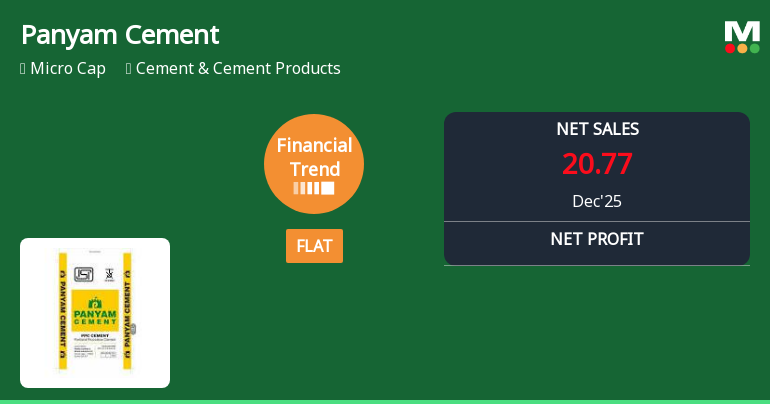 Panyam Cements & Mineral Industries Ltd Reports Flat Quarterly Performance Amid Revenue Decline