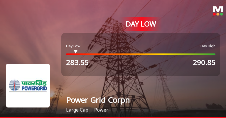 Power Grid Corporation of India Ltd Hits Intraday Low Amid Price Pressure