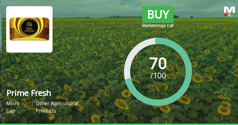 Prime Fresh Ltd Upgraded to Buy on Strong Financials and Technical Signals