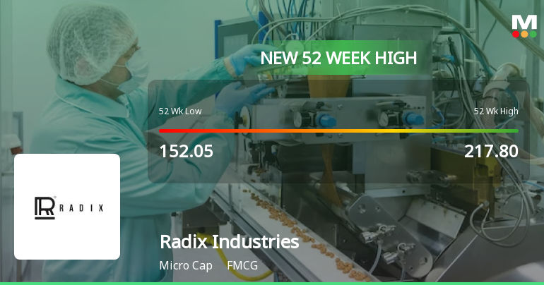 Broad-Based Technical Strength Lifts Radix Industries (India) Ltd to 52-Week High of Rs 226.4