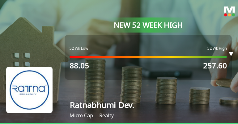 Broad-Based Technical Strength Lifts Ratnabhumi Developers Ltd to 52-Week High of Rs 261.45