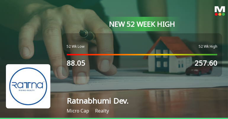 Broad-Based Technical Strength Lifts Ratnabhumi Developers Ltd to 52-Week High of Rs 273.8