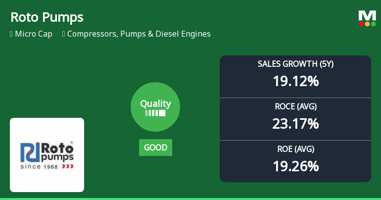 Roto Pumps Ltd Quality Grade Downgrade Highlights Mixed Business Fundamentals
