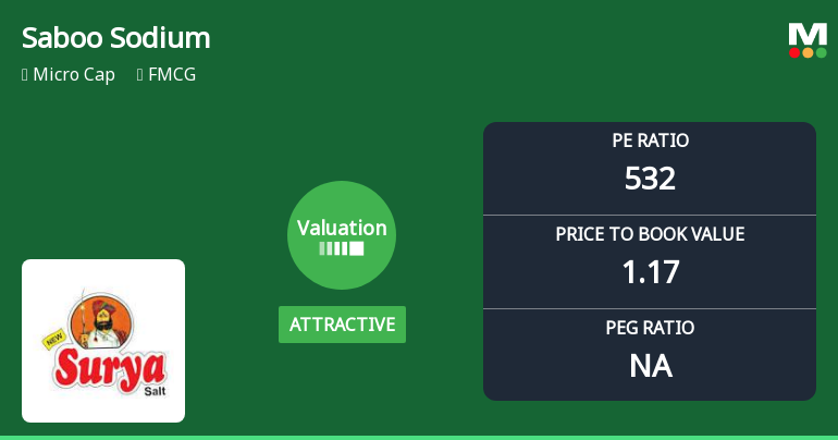 Saboo Sodium Chloro Ltd Valuation Shifts Signal Improved Price Attractiveness