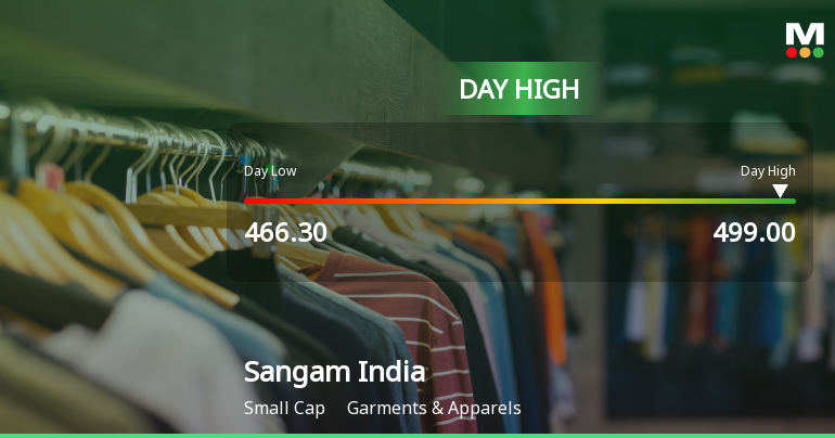 Sangam (India) Ltd Surges 8.7% to Day's High of Rs 494.95 — Outperforms Sector by 7.93 Percentage Points