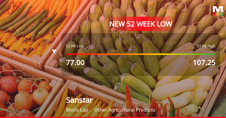 Sanstar Ltd Falls to 52-Week Low of Rs 74.34 as Sell-Off Deepens