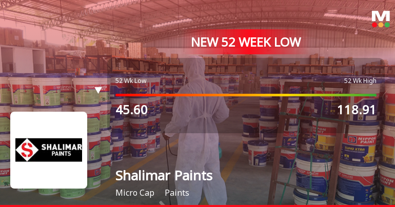 Markets Rally, But Shalimar Paints Ltd. Sinks to 52-Week Low in Stock-Specific Sell-Off
