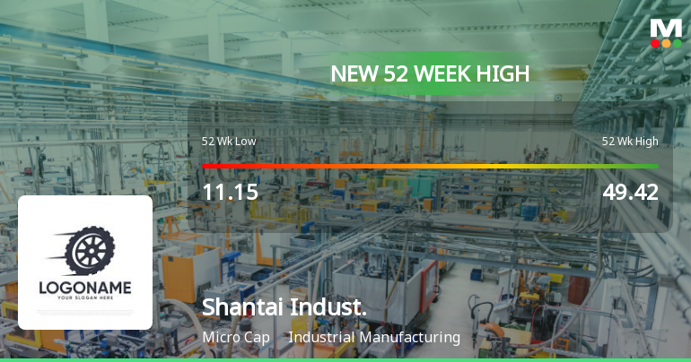 Broad-Based Technical Strength Lifts Shantai Industries Ltd to 52-Week High of Rs 65.12