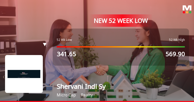 Markets Rally, But Shervani Industrial Syndicate Ltd Sinks to 52-Week Low in Stock-Specific Sell-Off