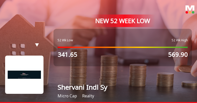Markets Rally, But Shervani Industrial Syndicate Ltd Sinks to 52-Week Low in Stock-Specific Sell-Off